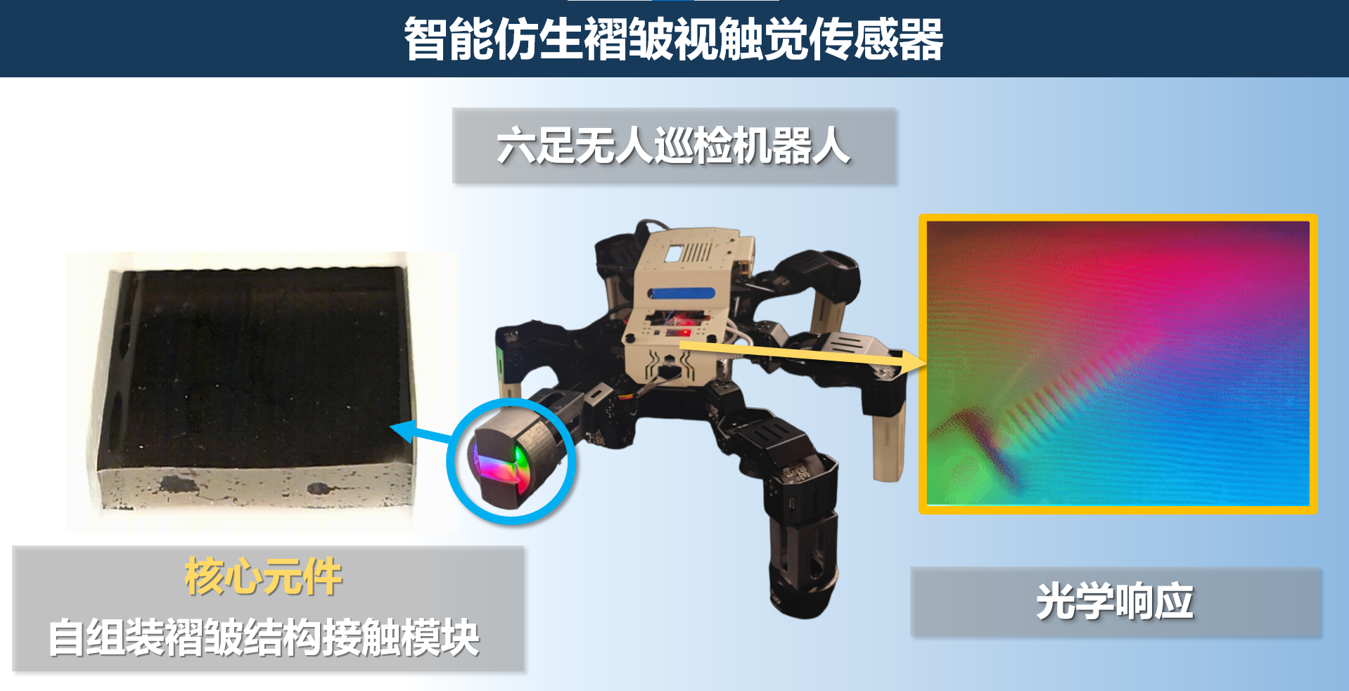 1756287398327715.png 图2 获奖项目图.png