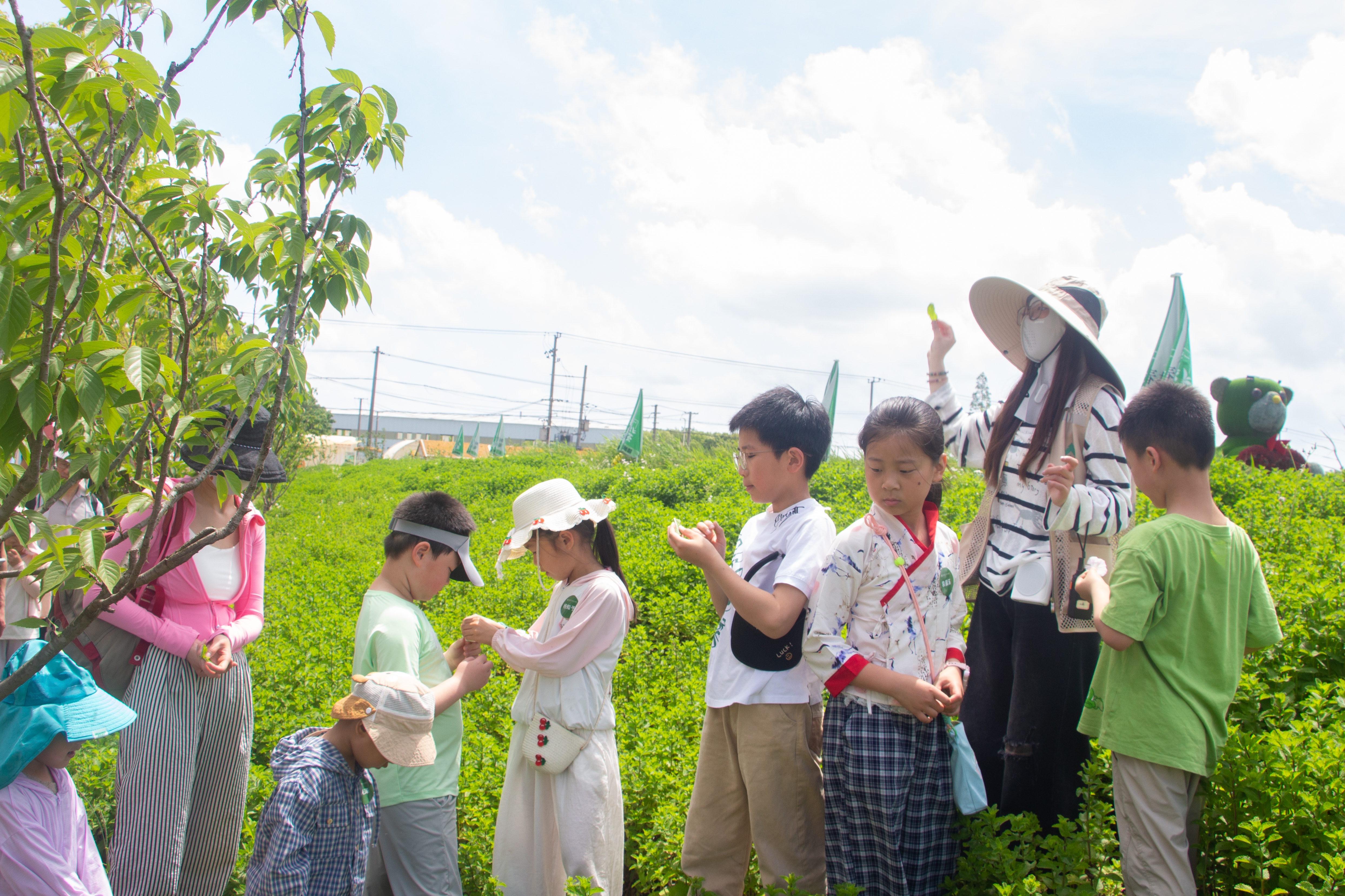 IMG_9486_副本.jpg