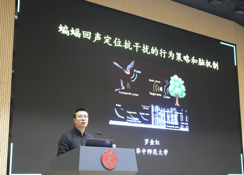 1777363134900996.jpg 图1 罗金红教授_resized.jpg